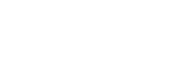 Instituto Bold